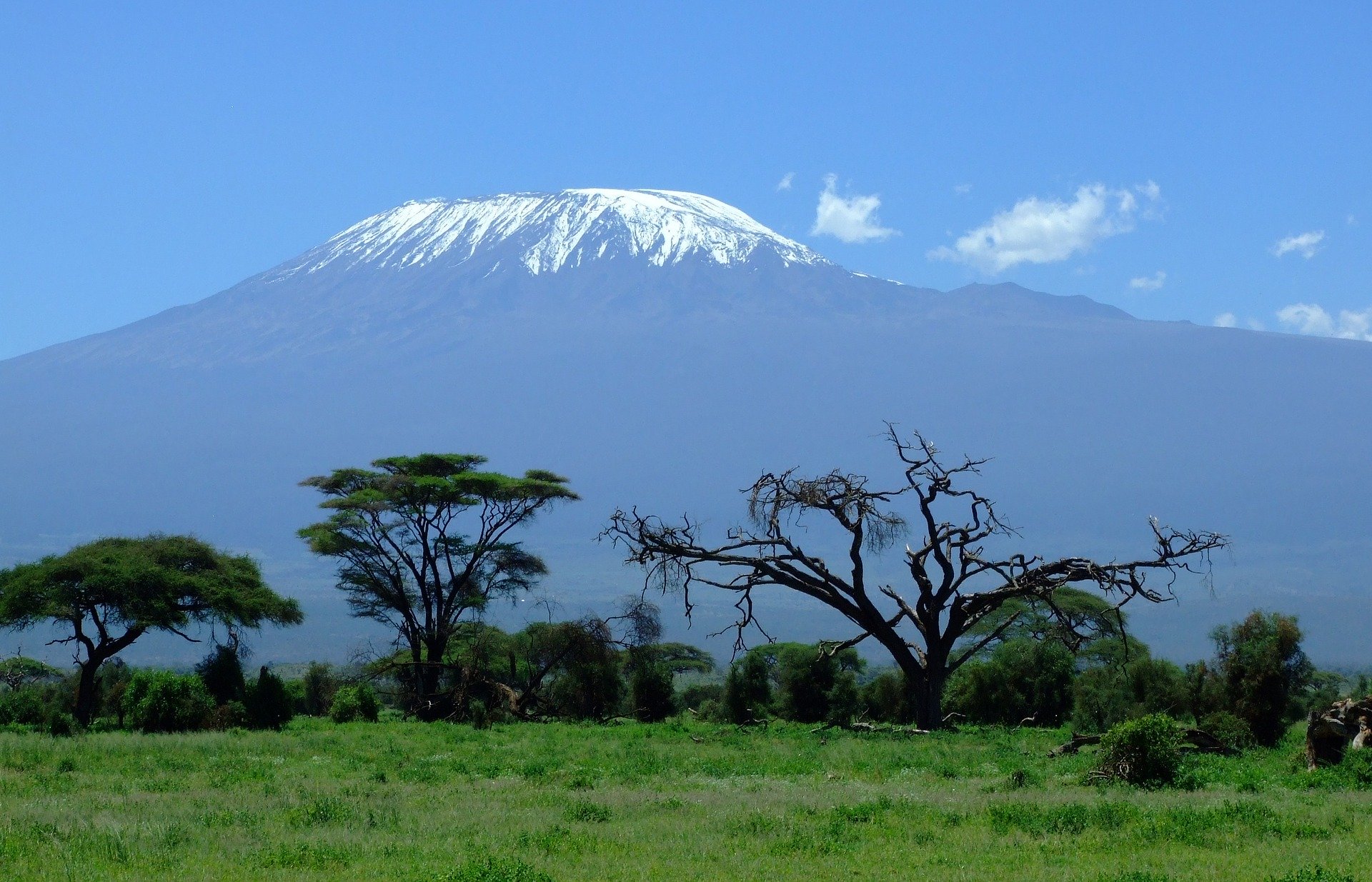 Mainstreaming biodiversity management into business practice