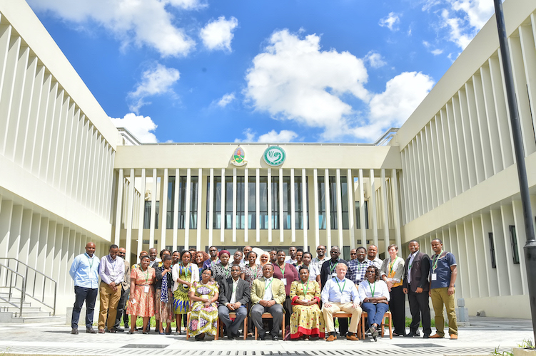 AfricaLics Building Innovation and Development (I&D) Capacity in Africa